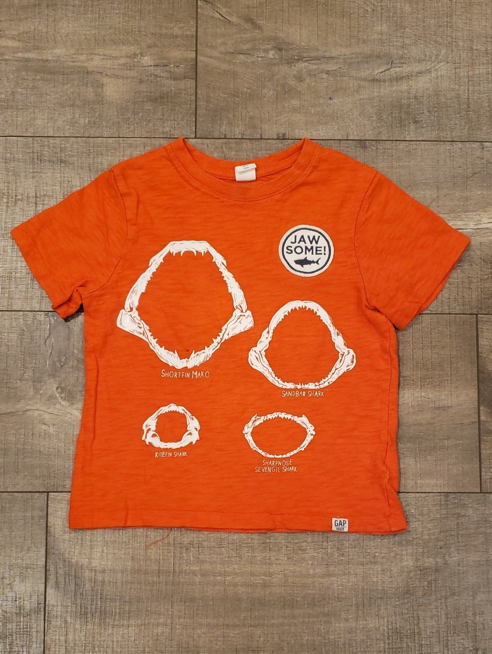 Graphic Short Sleeve Tee Lot 5T (2)